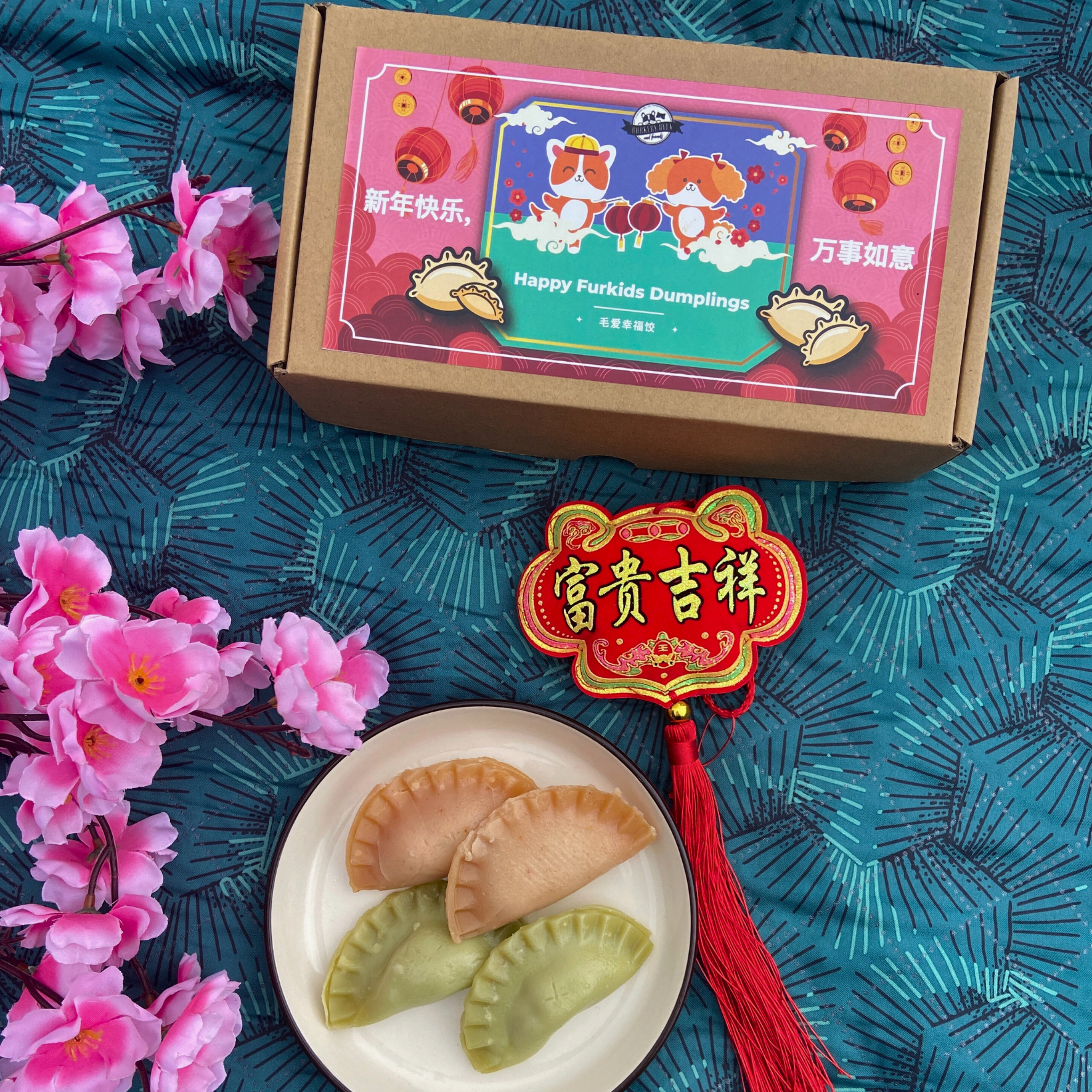 CNY 2025 Special: Happy Furkids Dumplings Set