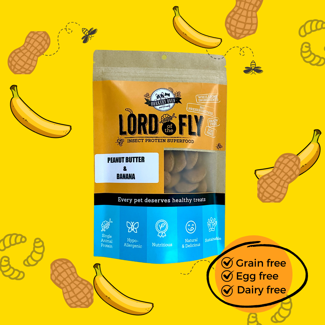 lord-of-the-fly-peanut-butter-banana